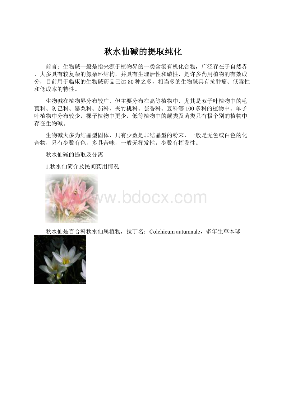 秋水仙碱的提取纯化Word文档下载推荐.docx_第1页