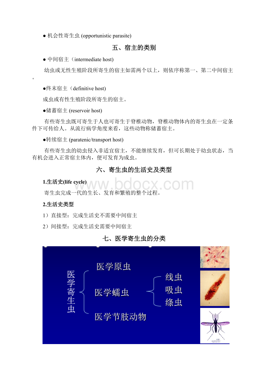 医学寄生虫学Word格式文档下载.docx_第2页