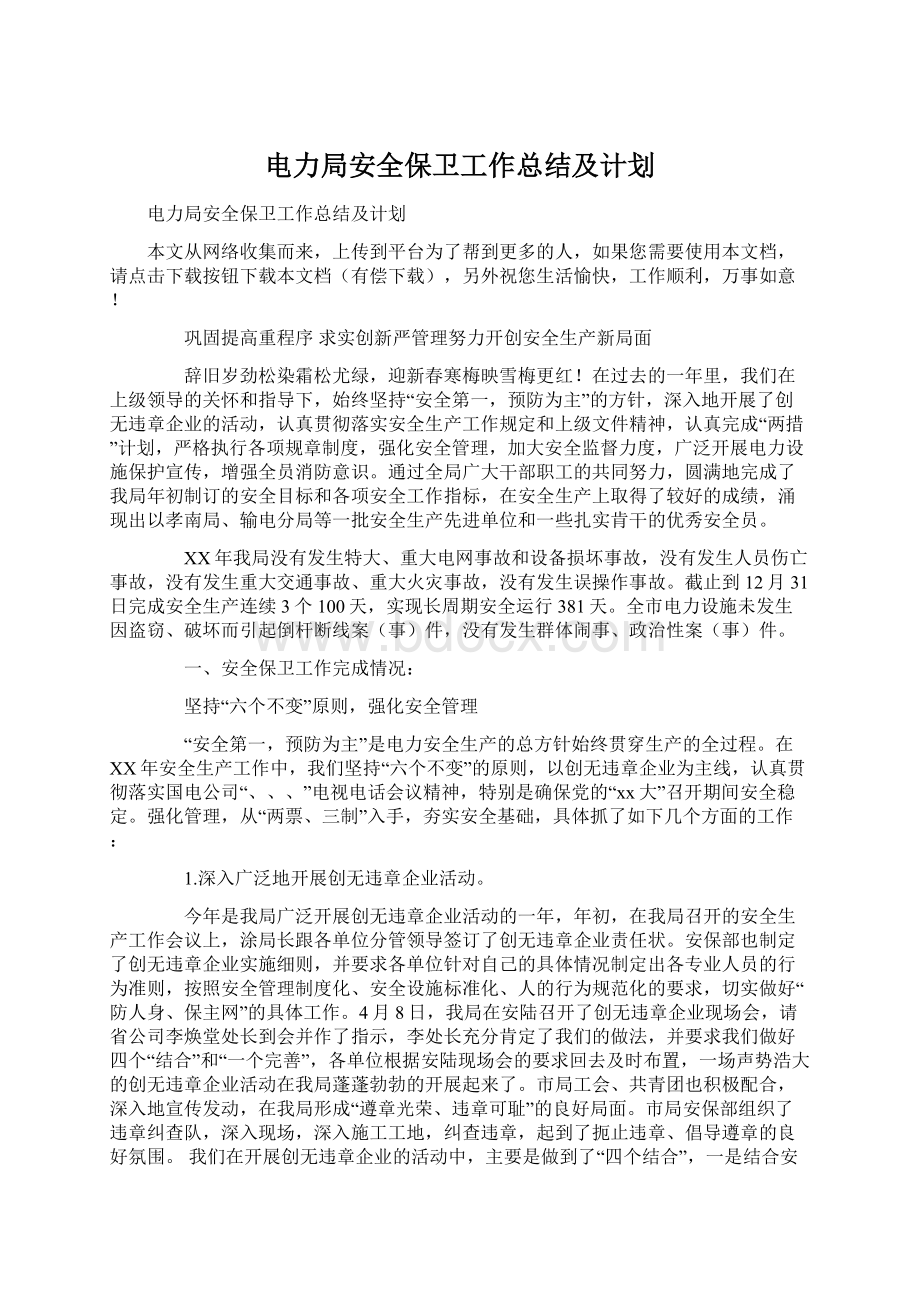 电力局安全保卫工作总结及计划文档格式.docx