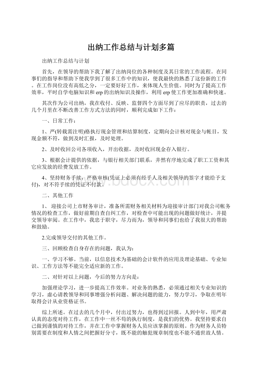 出纳工作总结与计划多篇.docx