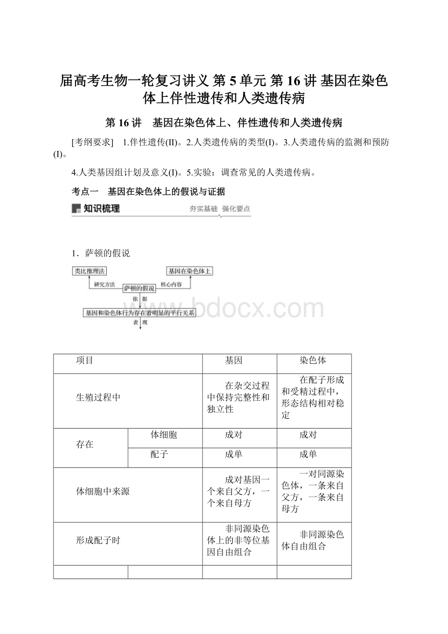 届高考生物一轮复习讲义 第5单元 第16讲基因在染色体上伴性遗传和人类遗传病.docx