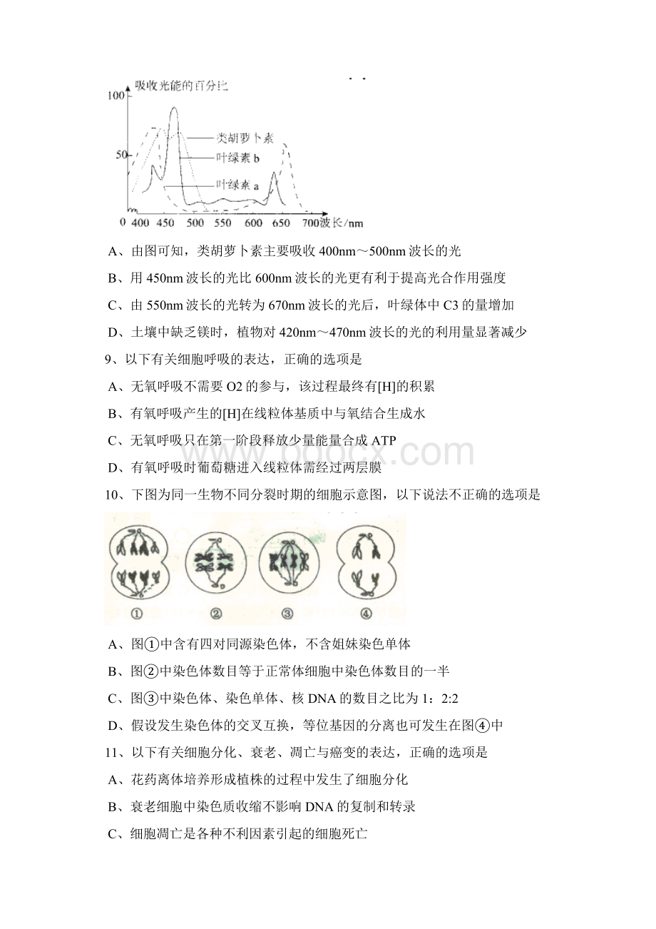 北京东城区高三上学期年末考试试题生物.docx_第3页