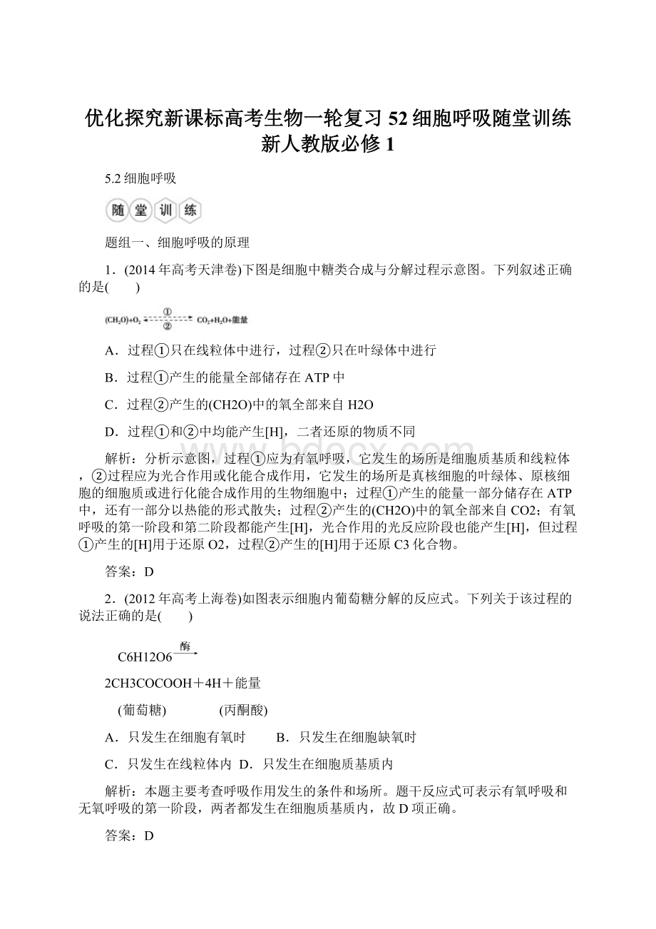 优化探究新课标高考生物一轮复习52细胞呼吸随堂训练新人教版必修1.docx