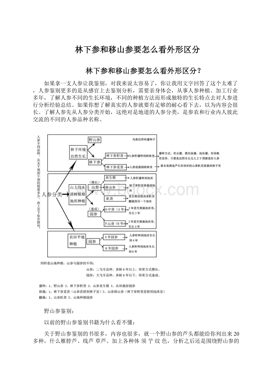 林下参和移山参要怎么看外形区分Word文档格式.docx