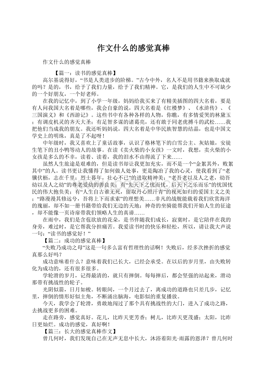 作文什么的感觉真棒Word文档下载推荐.docx_第1页