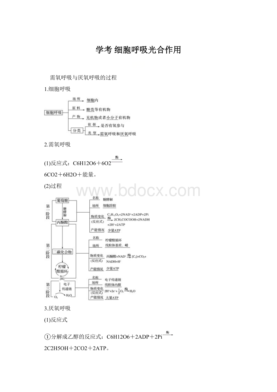 学考 细胞呼吸光合作用.docx