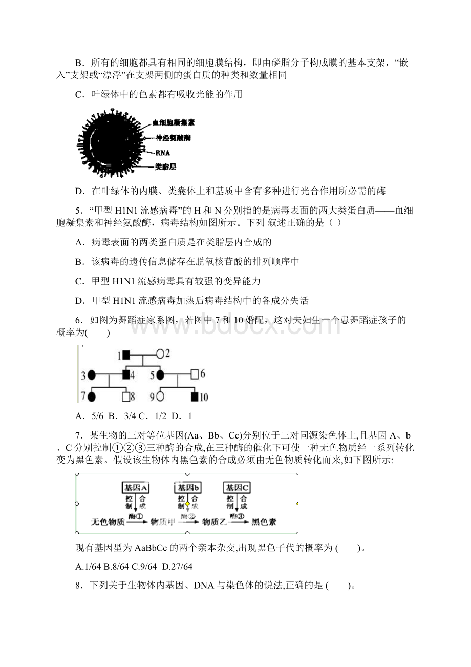 甘肃省白银市会宁县第五中学届高三上学期月考生物试题.docx_第2页