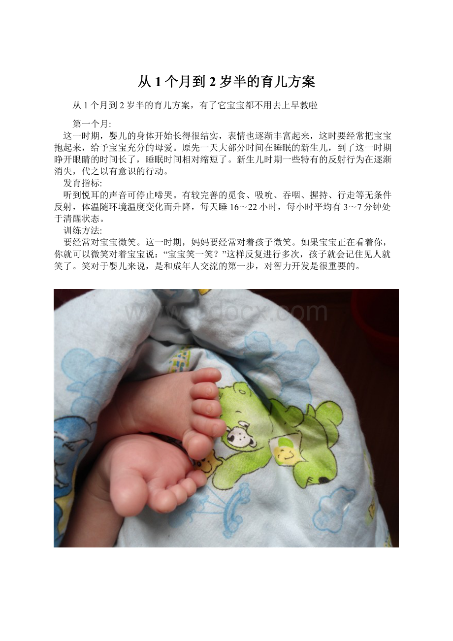 从1个月到2岁半的育儿方案.docx_第1页