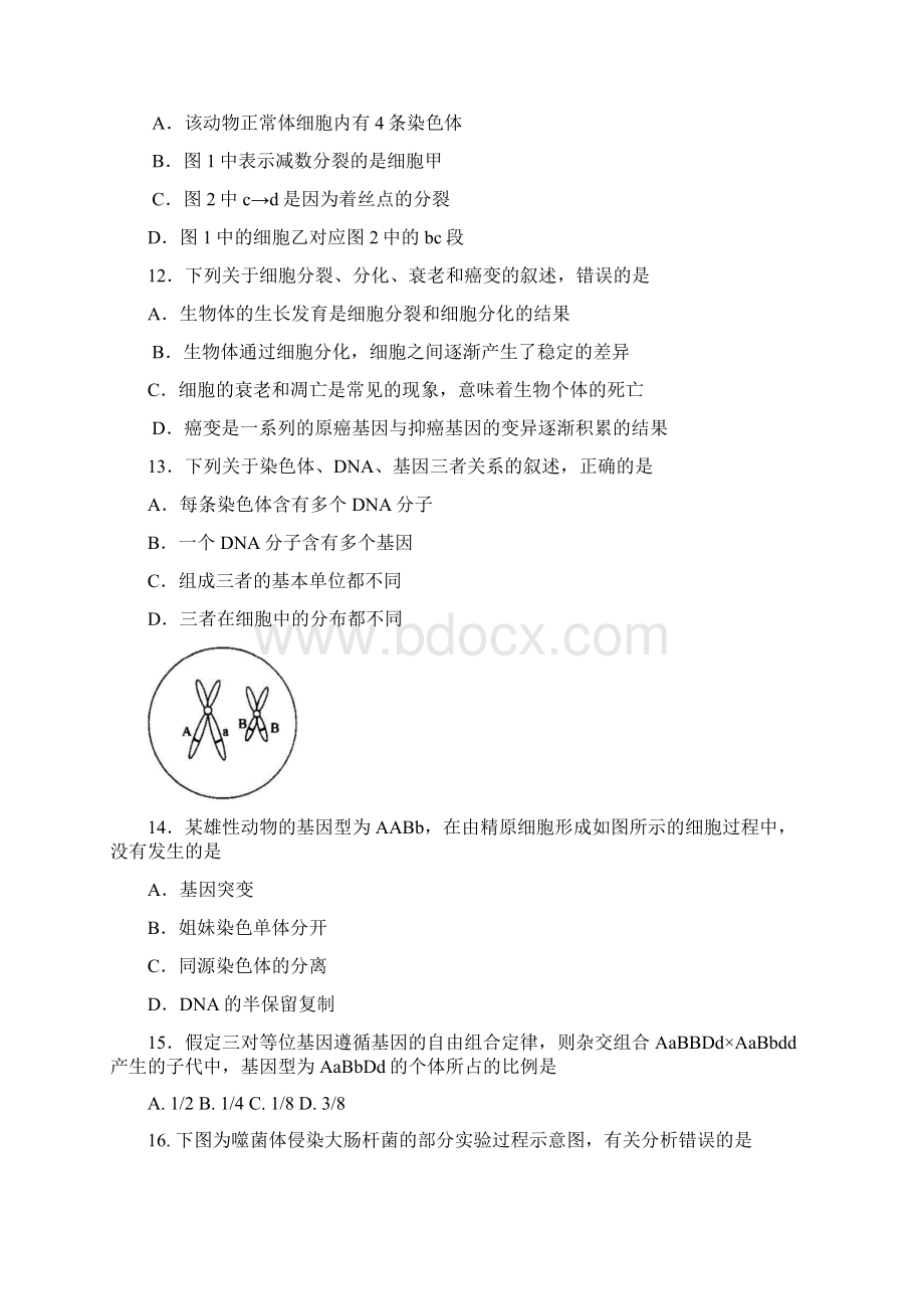 南京市普通高中学业水平测试必修科目生物试题.docx_第3页