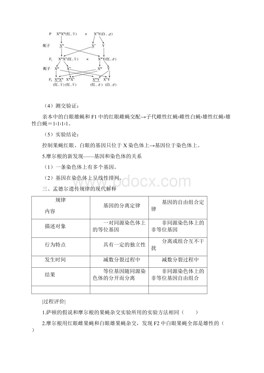 学年人教版必修2 第2章 第2节 基因在染色体上 学案Word下载.docx_第3页