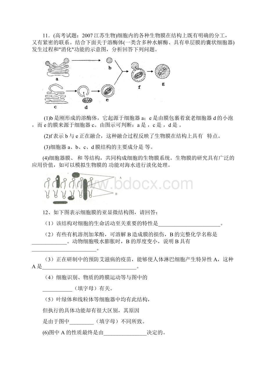 高一生物必修1 细胞的结构功能 生物膜系统测试题.docx_第3页