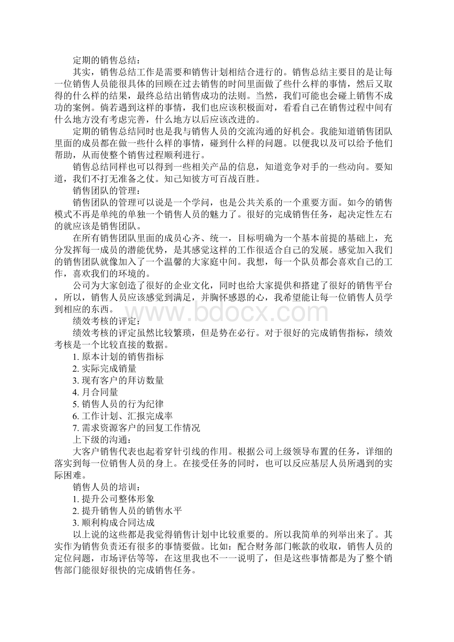 大客户销售代表工作计划Word格式文档下载.docx_第2页