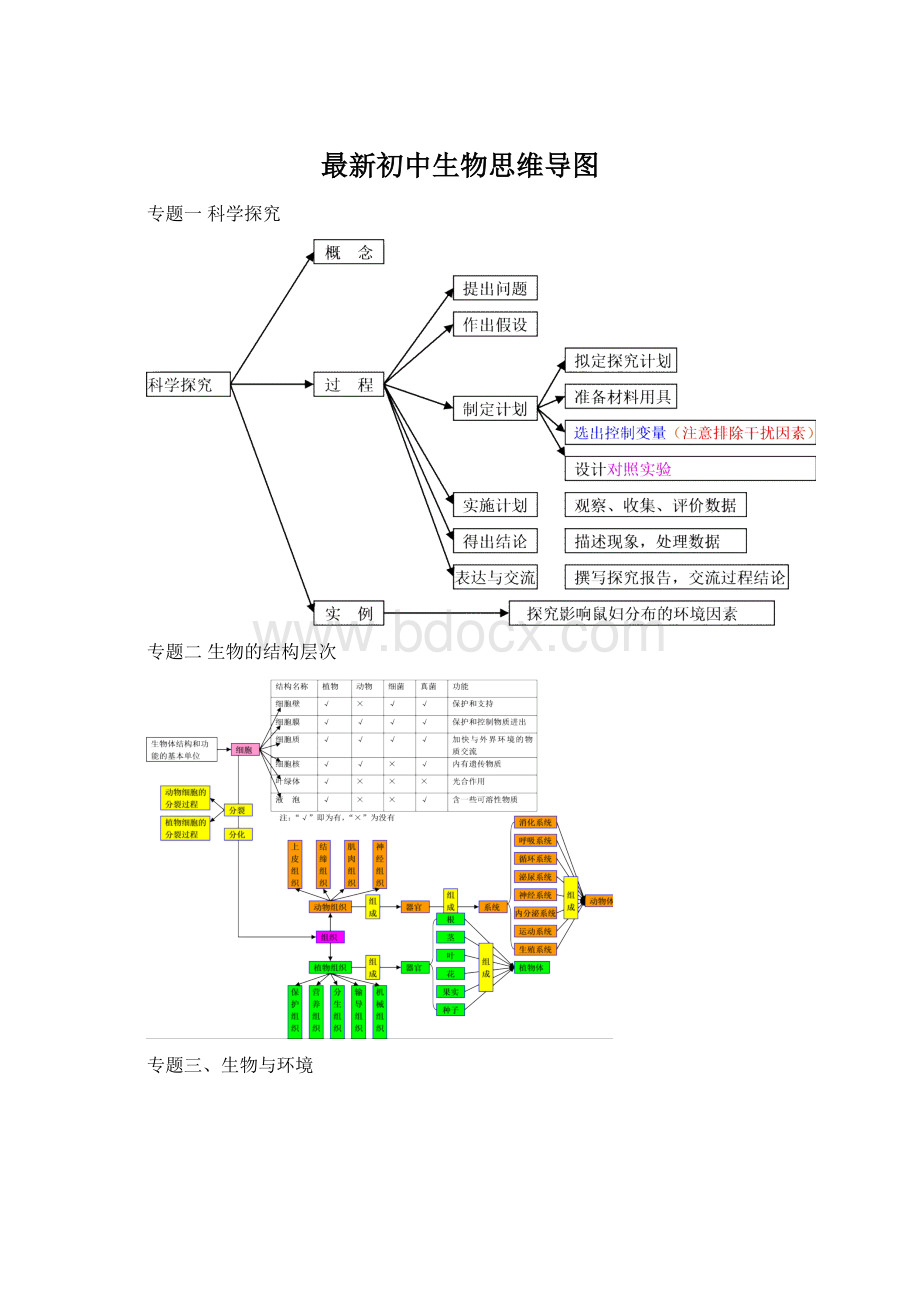 最新初中生物思维导图Word文档格式.docx_第1页