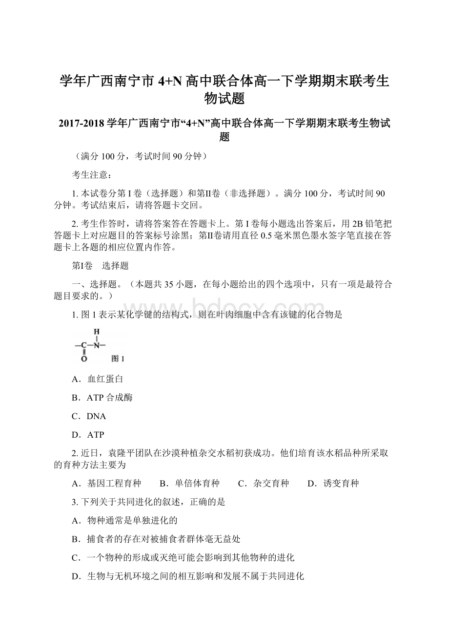 学年广西南宁市4+N高中联合体高一下学期期末联考生物试题.docx