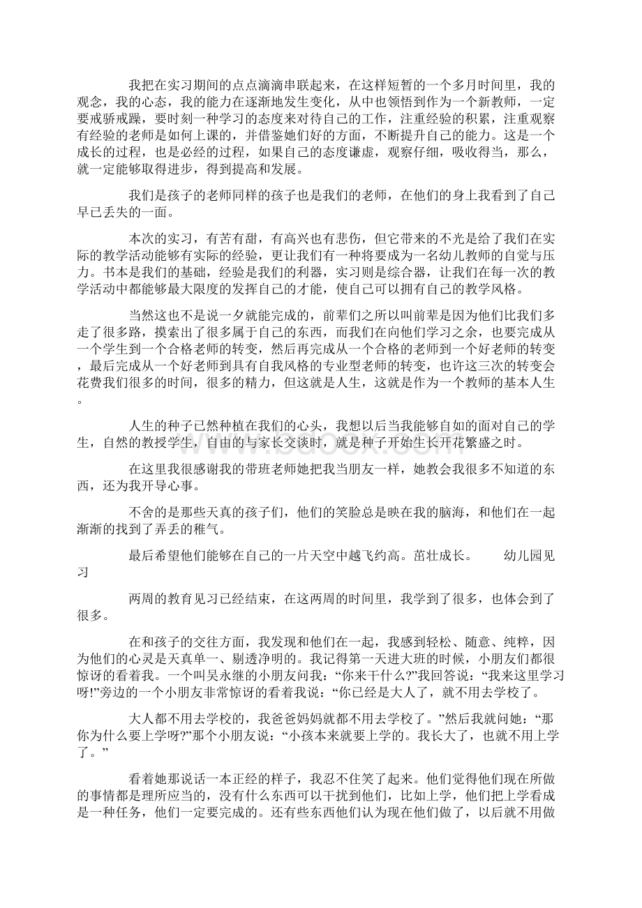 幼儿园见习个人总结.docx_第3页