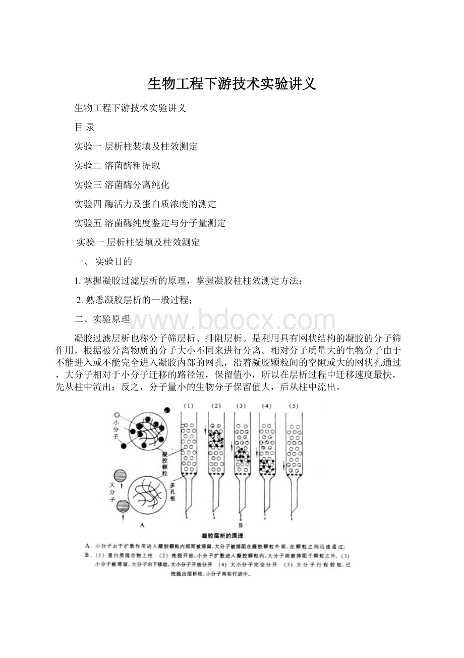 生物工程下游技术实验讲义.docx