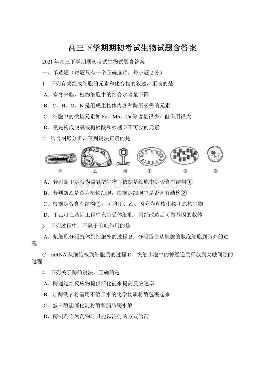 高三下学期期初考试生物试题含答案Word格式.docx