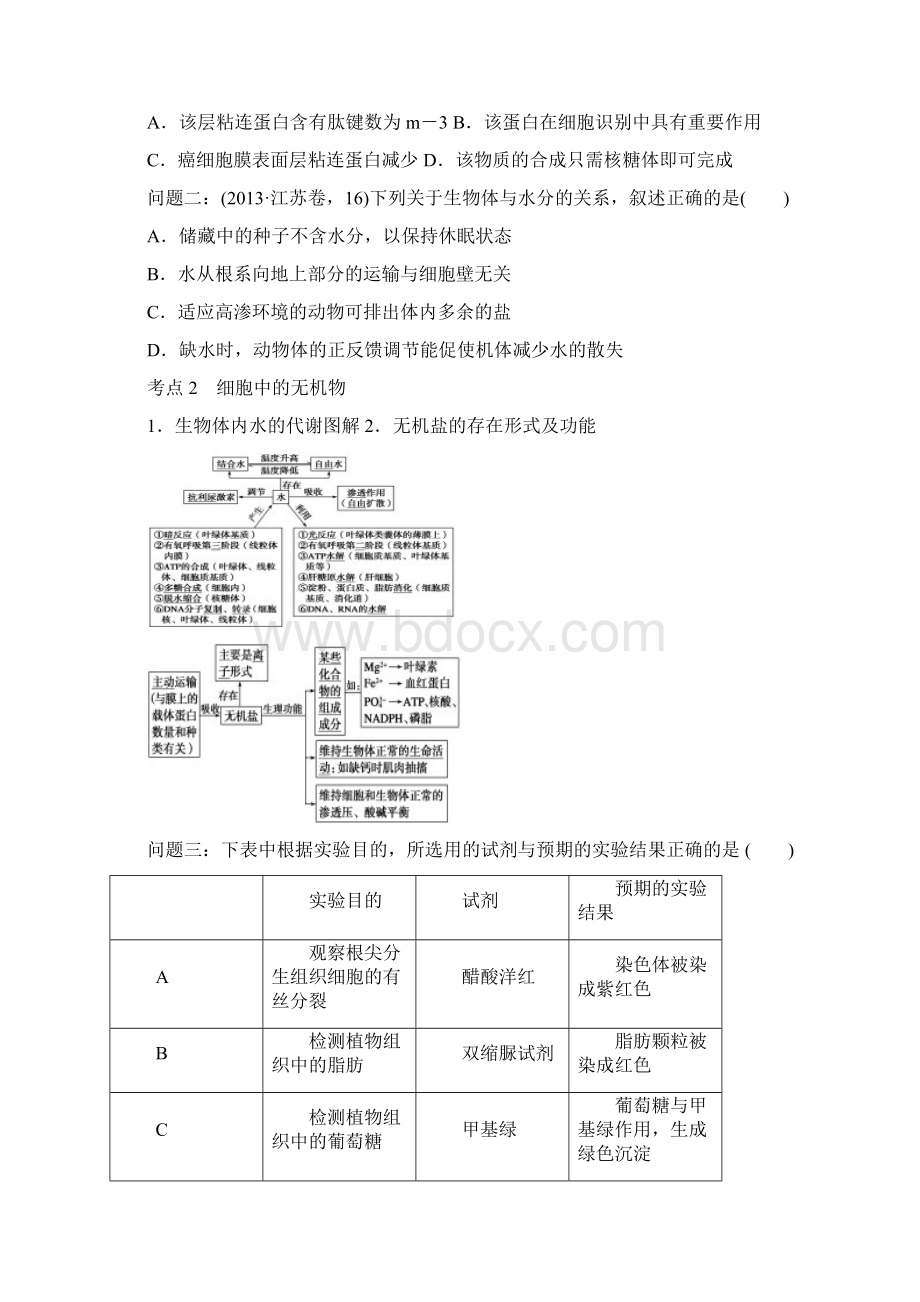 培优专题一细胞的分子组成和基本结构增加练习.docx_第2页