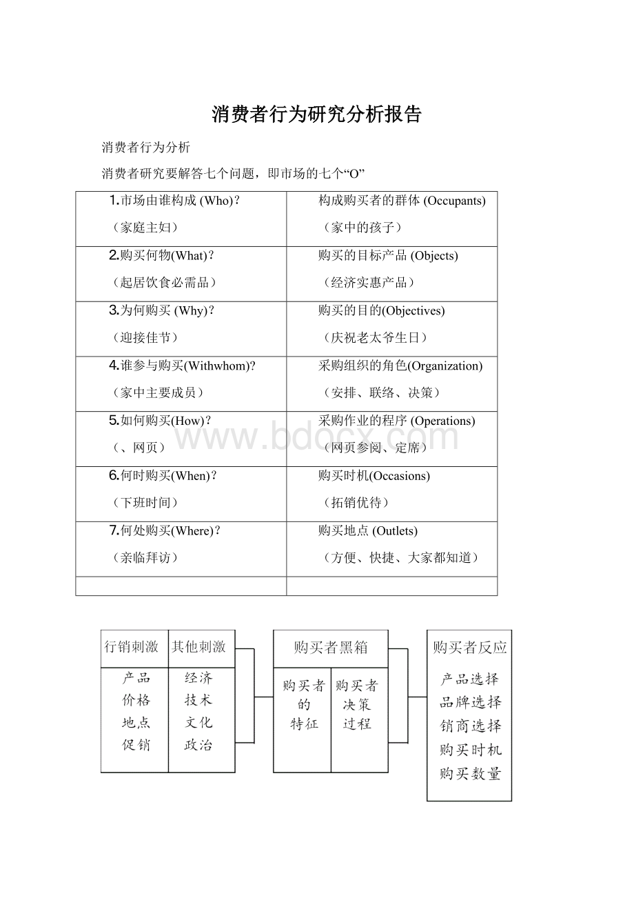 消费者行为研究分析报告.docx_第1页