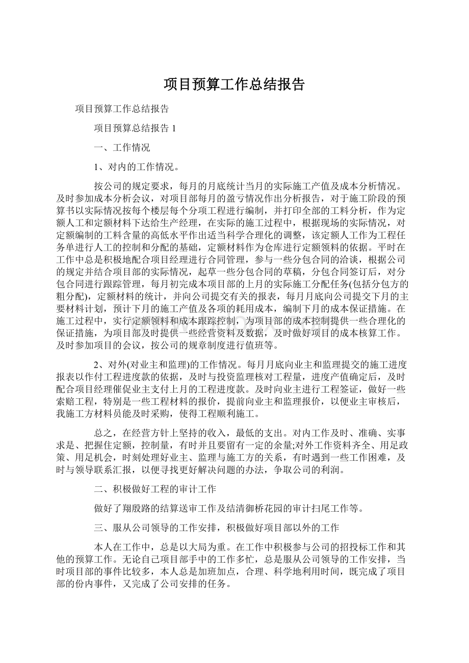 项目预算工作总结报告.docx