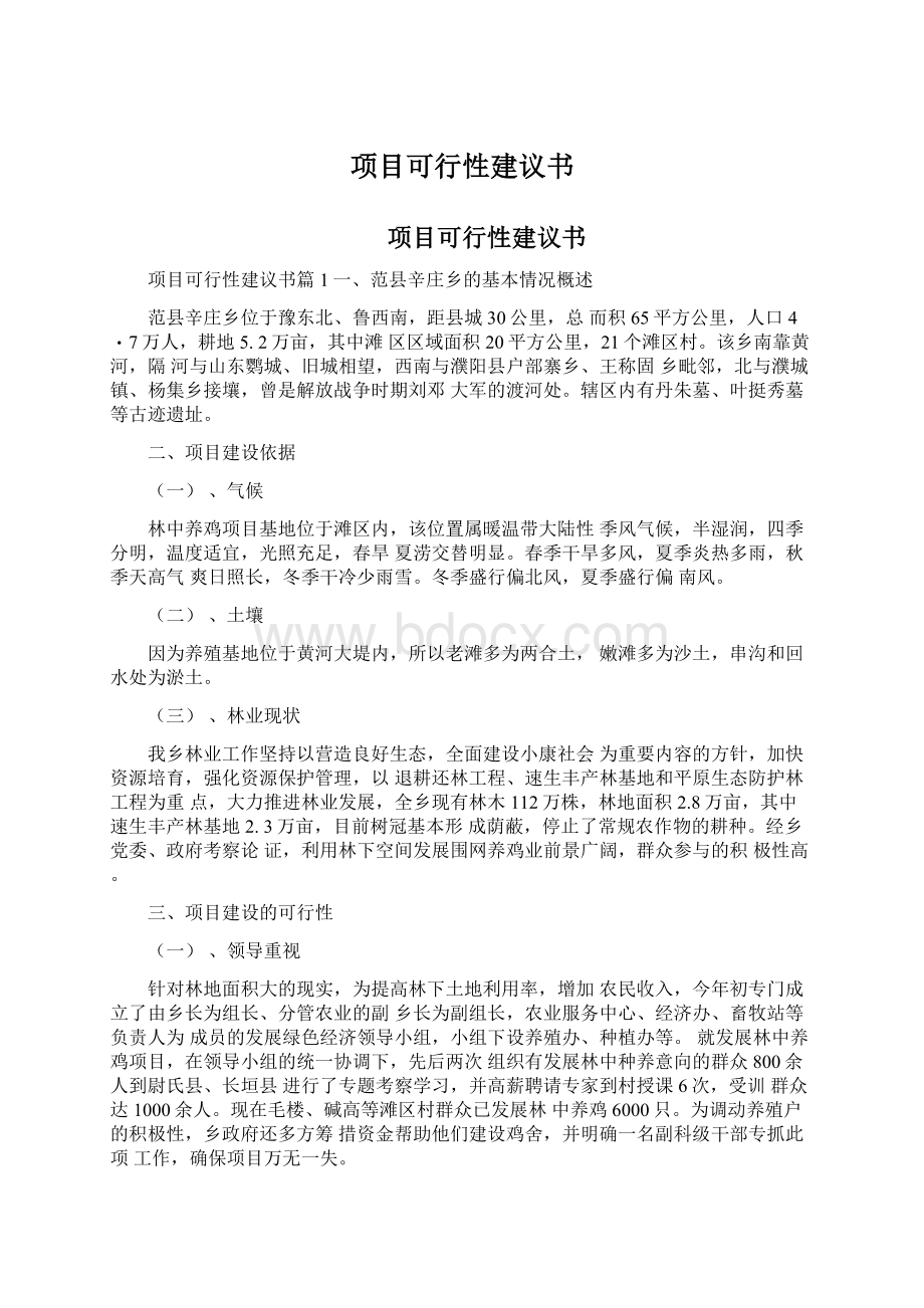 项目可行性建议书Word格式文档下载.docx_第1页