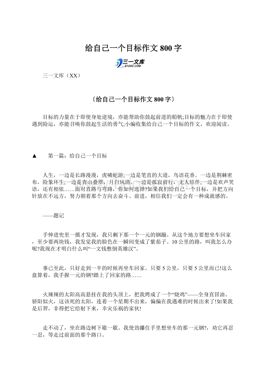 给自己一个目标作文800字Word文档下载推荐.docx