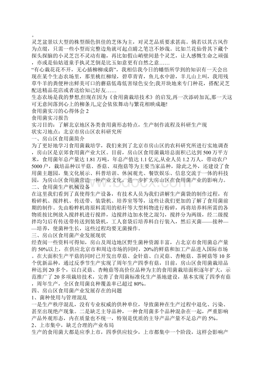 实习心得体会食用菌实习的心得体会5篇文档格式.docx_第3页