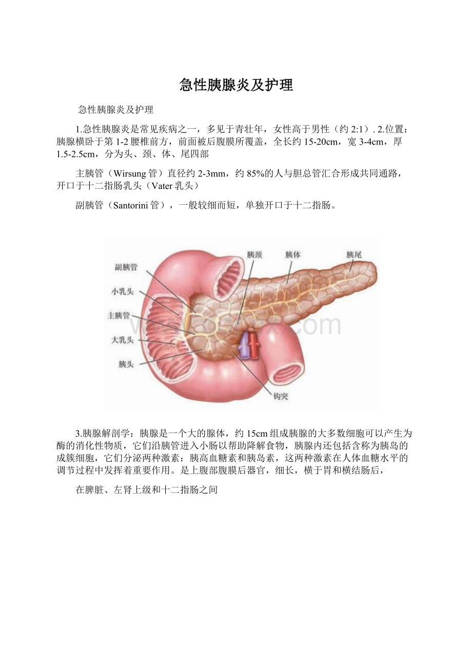 急性胰腺炎及护理Word格式.docx