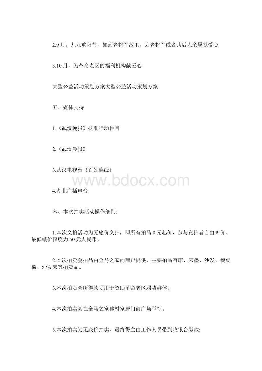 大型公益活动策划方案策划书doc.docx_第3页