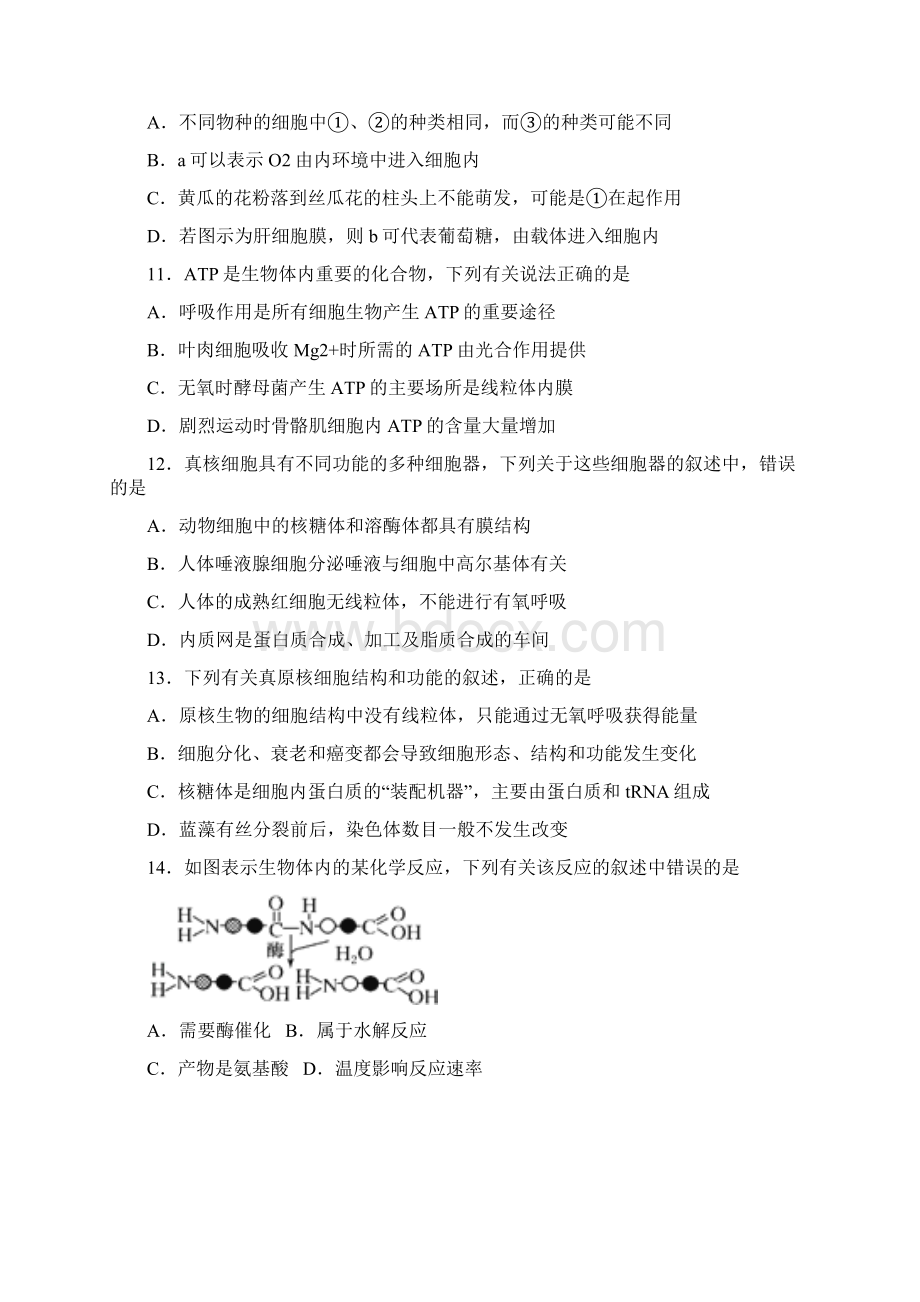 湖北省襄阳四中届高三月考生物试题.docx_第3页