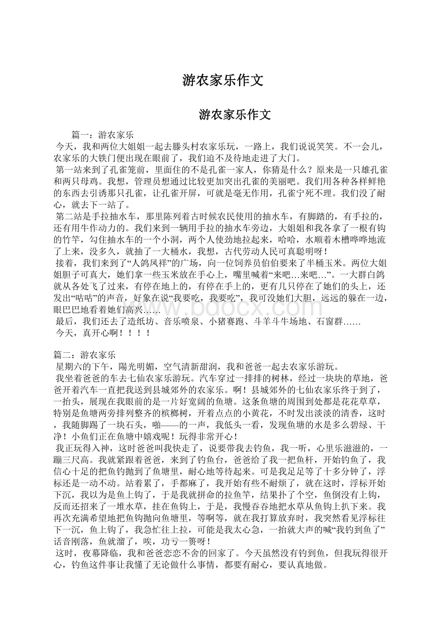 游农家乐作文Word文档下载推荐.docx