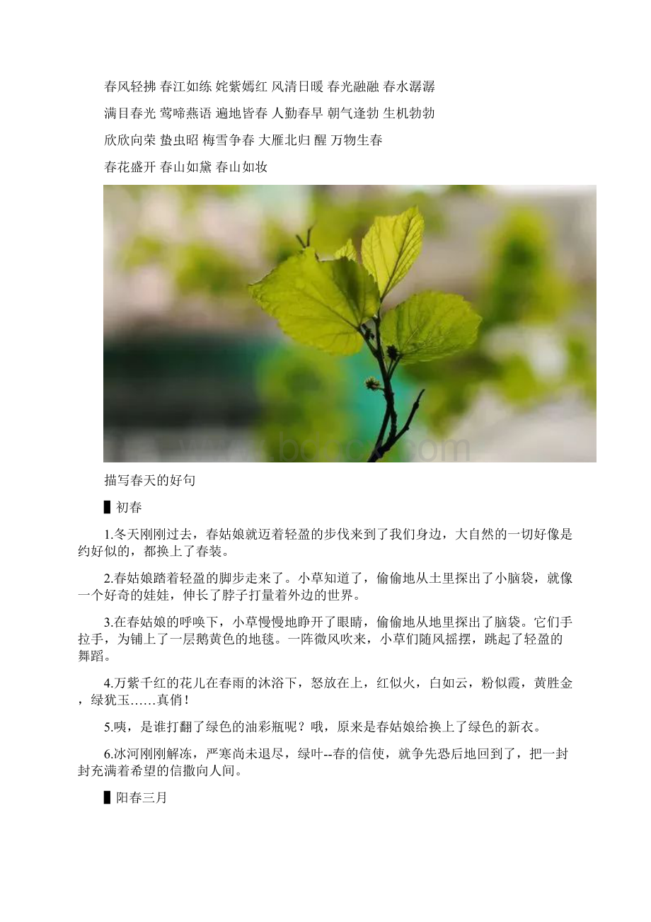 描写春天的词语和句子Word文档格式.docx_第2页