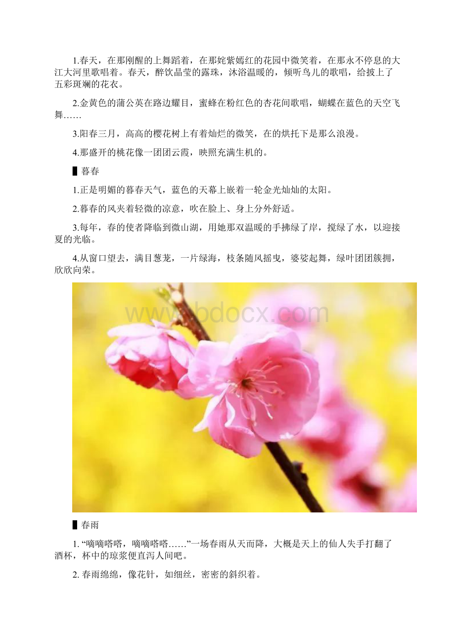 描写春天的词语和句子Word文档格式.docx_第3页