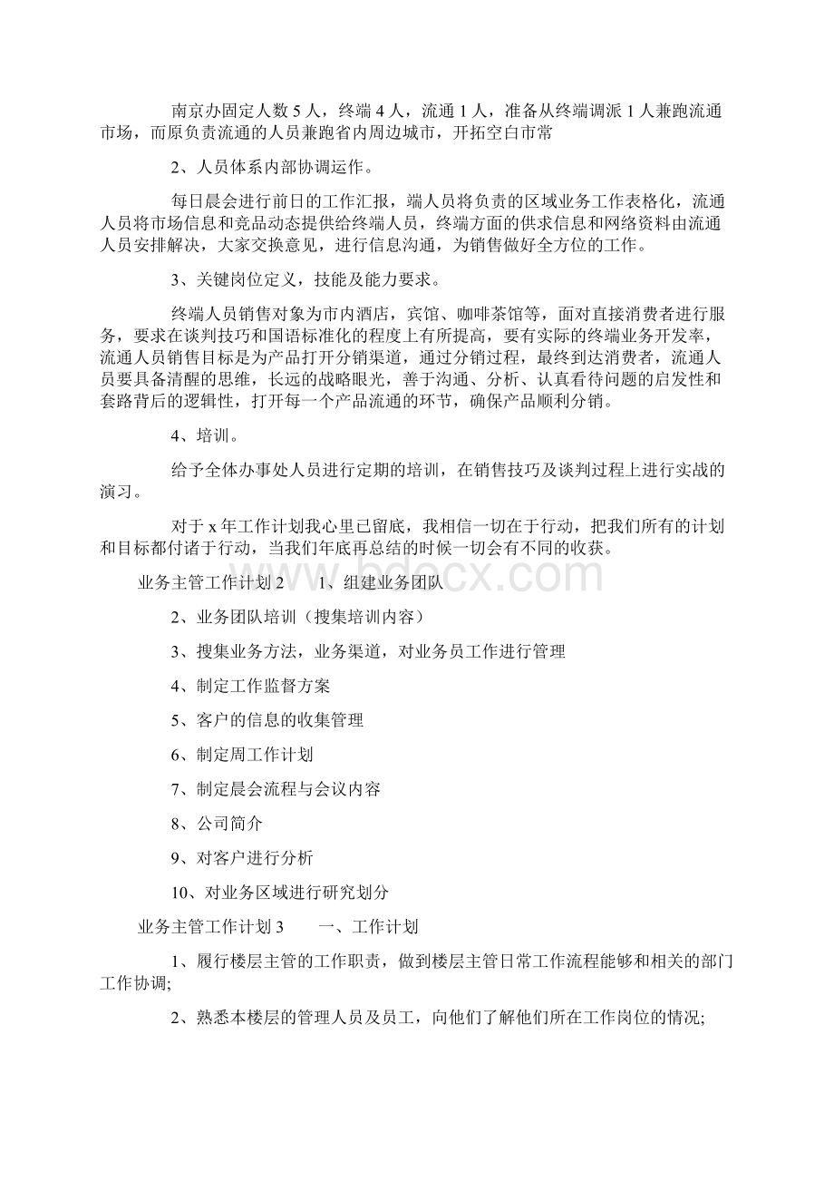 业务主管工作计划文档格式.docx_第2页