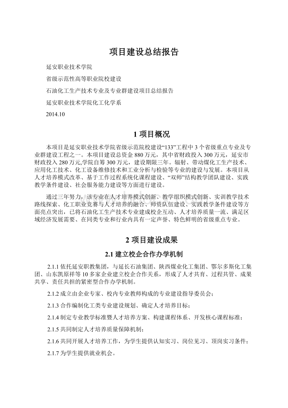 项目建设总结报告.docx_第1页