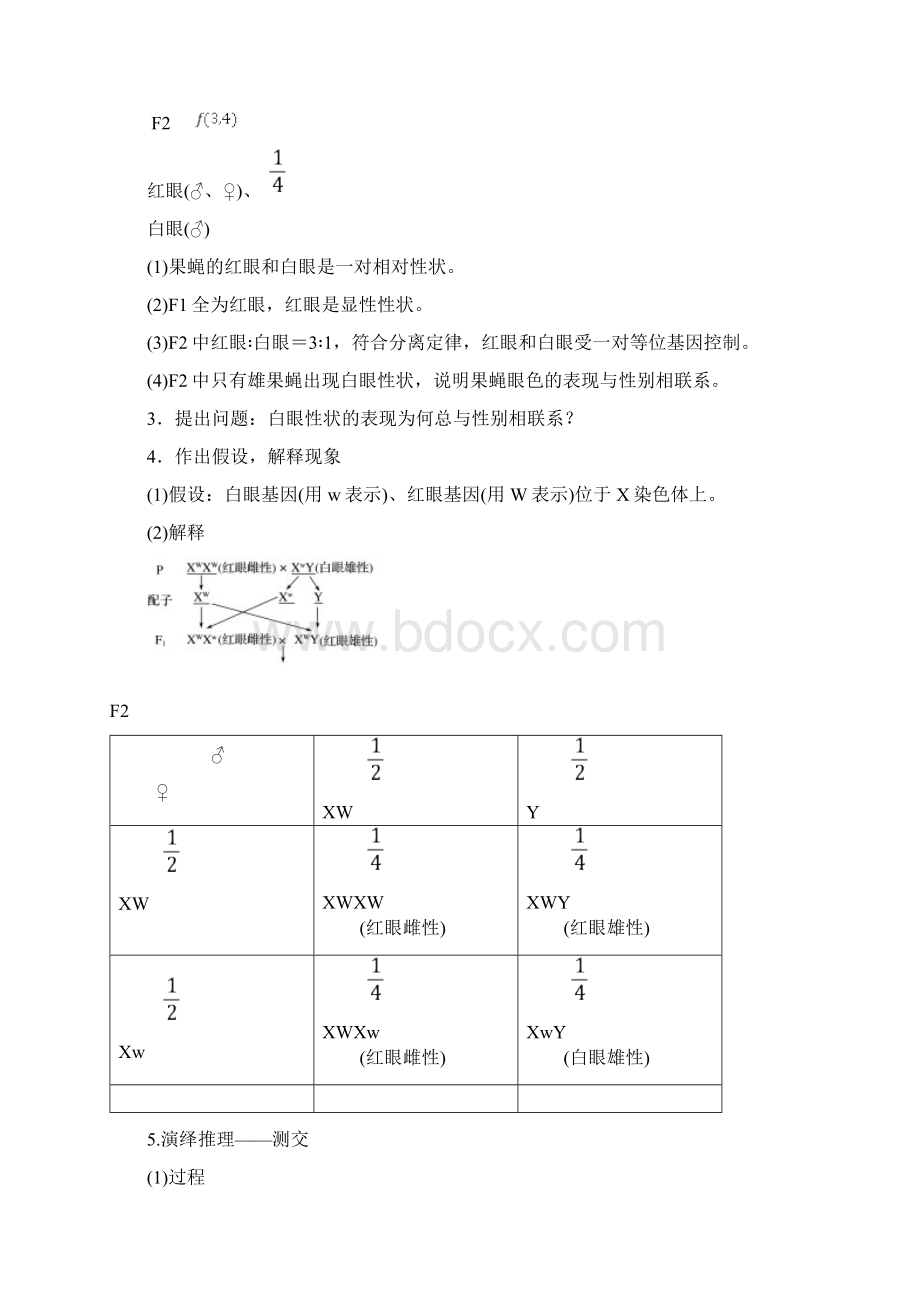 学年高中生物 第2章 基因和染色体的关系 第2节 基因在染色体上学案 新人教版必修2.docx_第3页