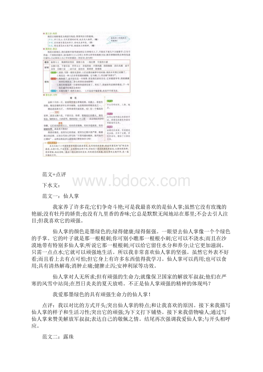 小学语文部编版三年级上册第五单元习作《我们眼中的缤纷世界》.docx_第2页