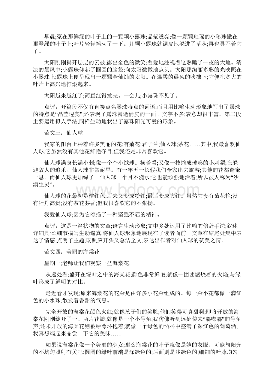 小学语文部编版三年级上册第五单元习作《我们眼中的缤纷世界》.docx_第3页