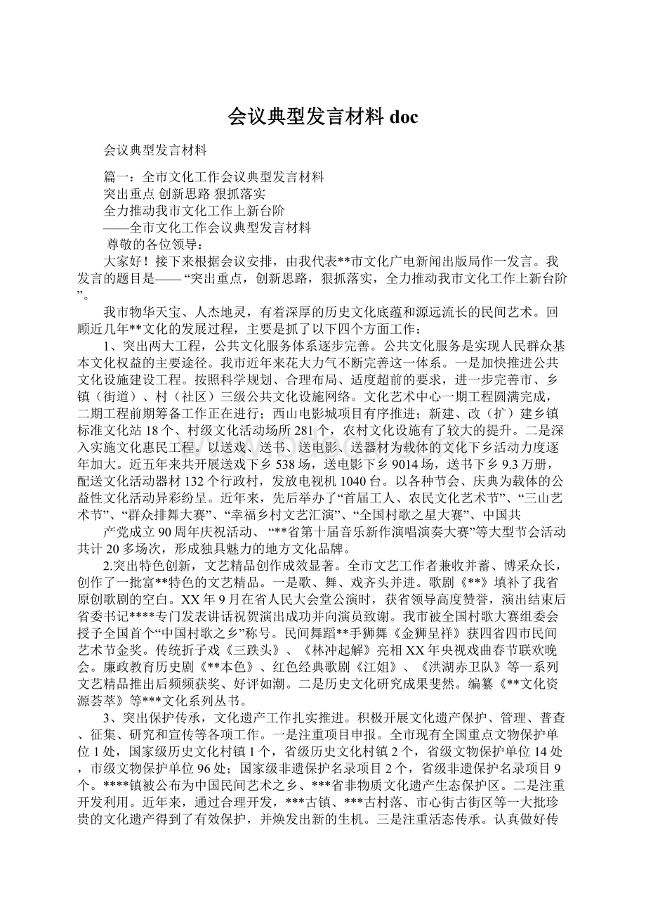 会议典型发言材料doc文档格式.docx