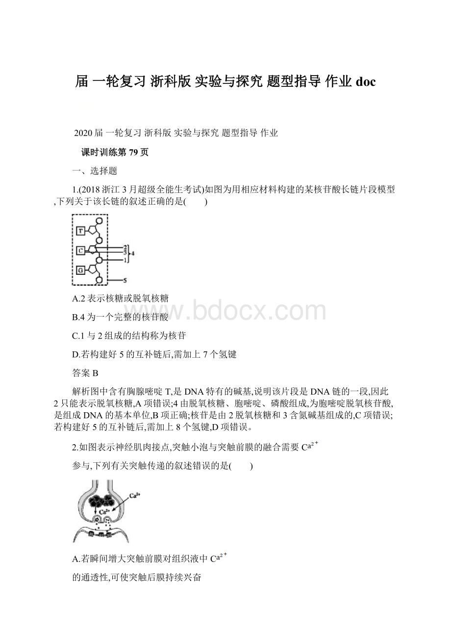 届一轮复习 浙科版 实验与探究 题型指导 作业doc.docx_第1页