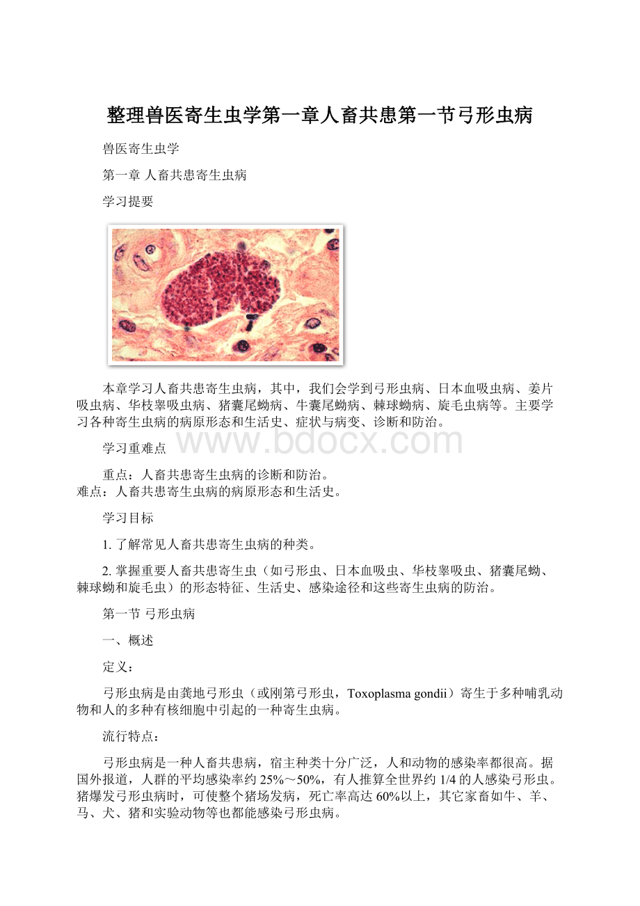 整理兽医寄生虫学第一章人畜共患第一节弓形虫病.docx