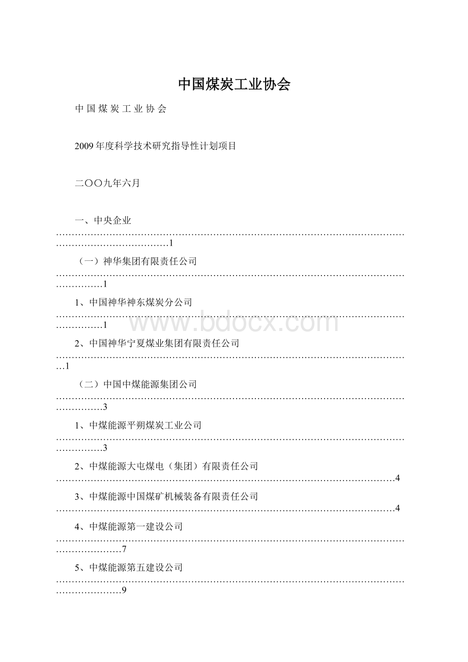 中国煤炭工业协会Word文档格式.docx