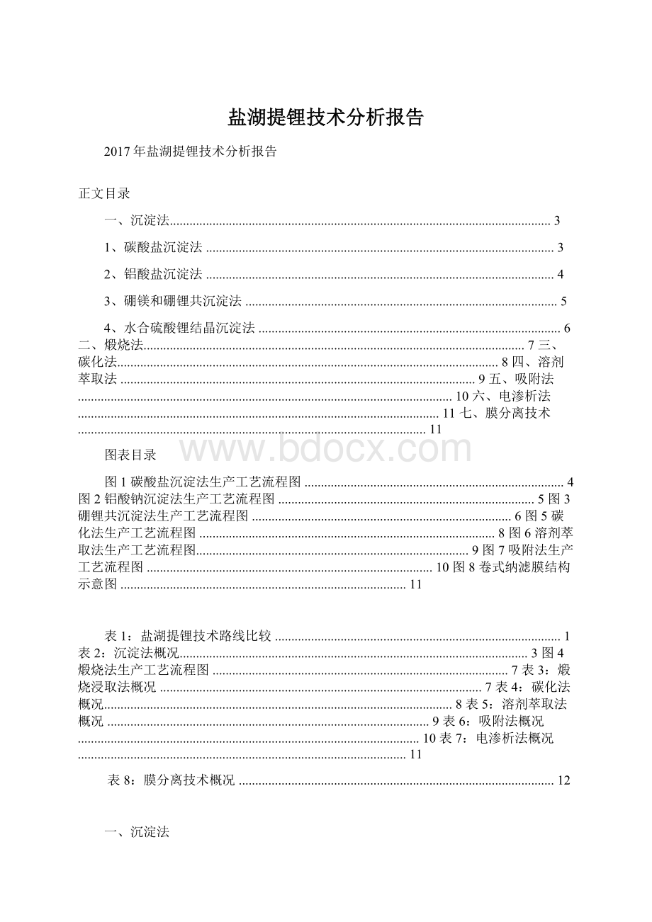 盐湖提锂技术分析报告.docx