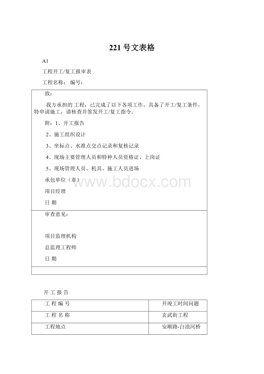 221号文表格Word文档格式.docx