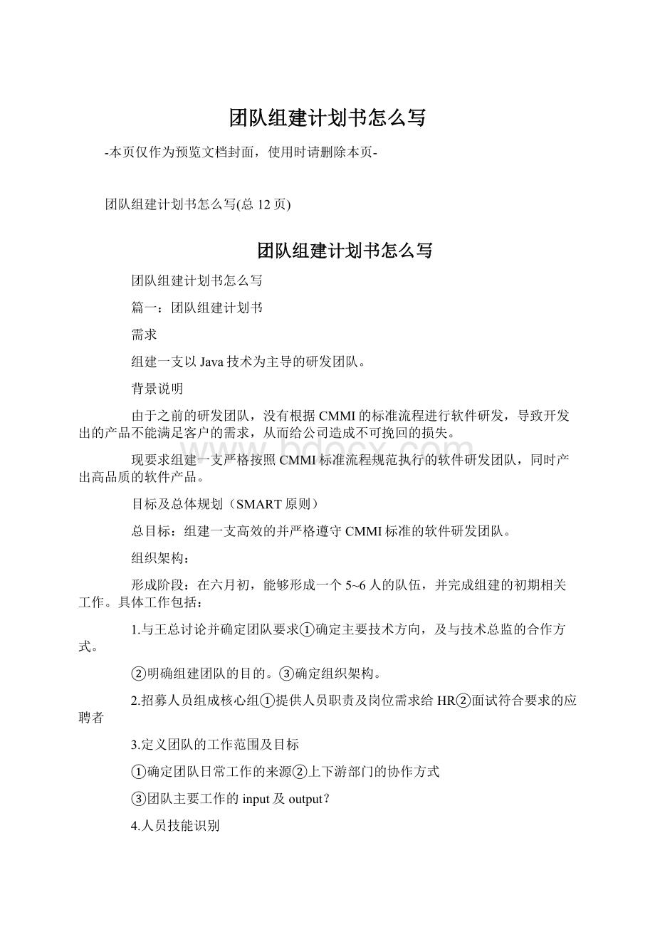 团队组建计划书怎么写Word文档下载推荐.docx