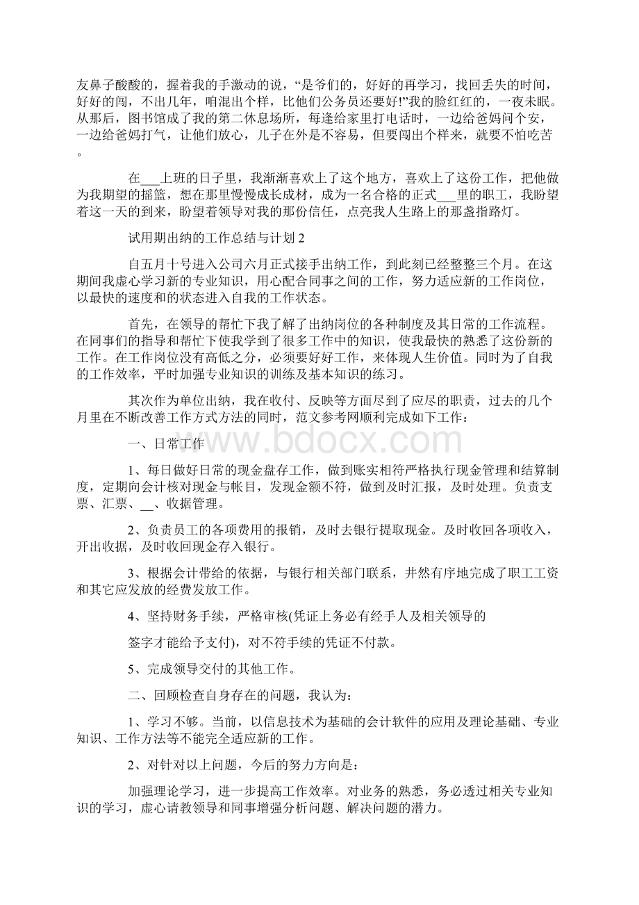 试用期出纳的工作总结与计划.docx_第2页