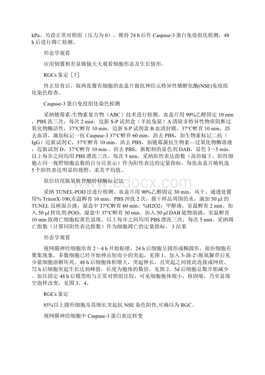 灯盏花素对体外高压致视网膜神经节细胞凋亡的阻碍文档格式.docx_第3页