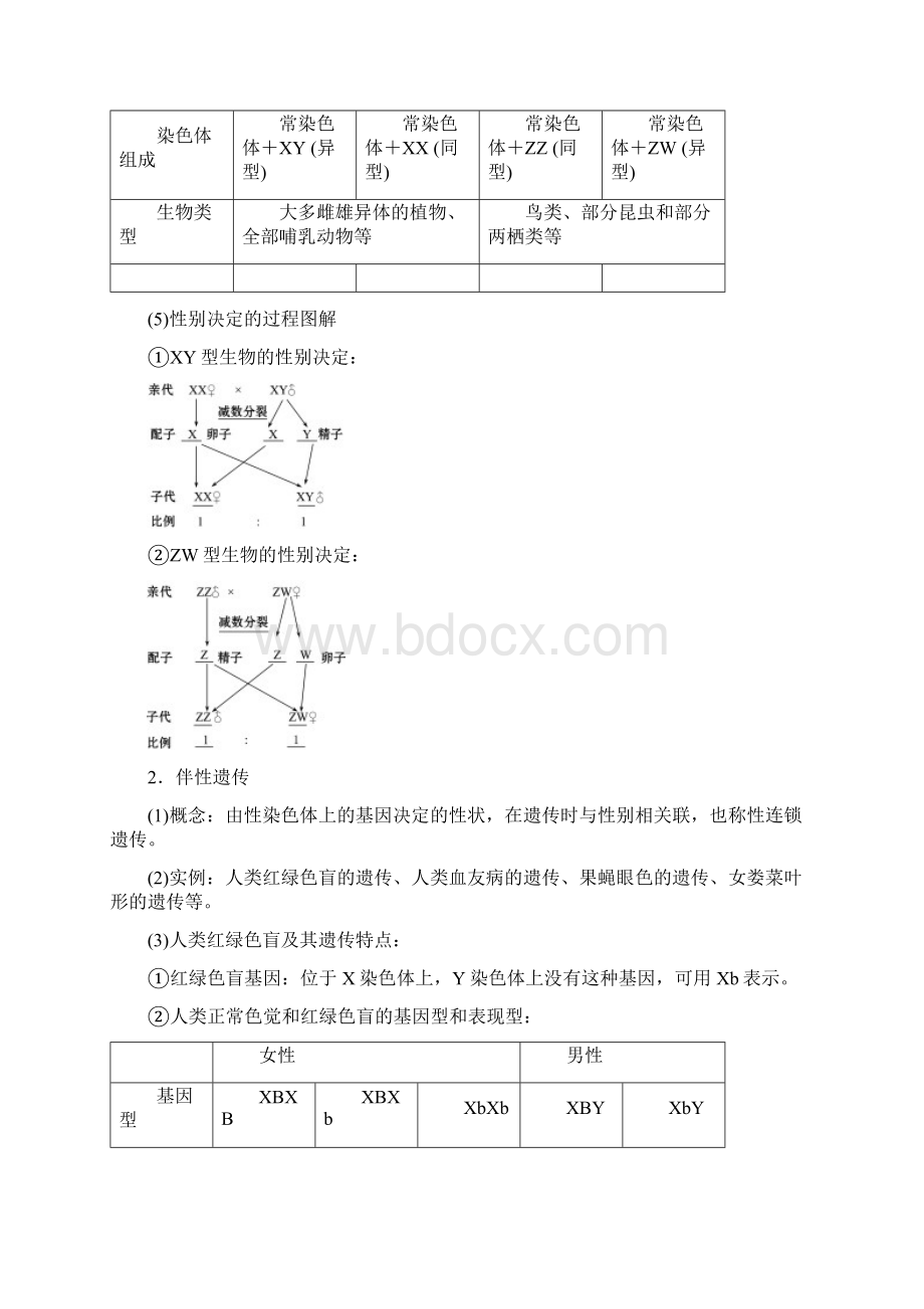 新苏教版生物必修2讲义第3章 第2节 第2课时 性别决定和伴性遗传Word文件下载.docx_第2页