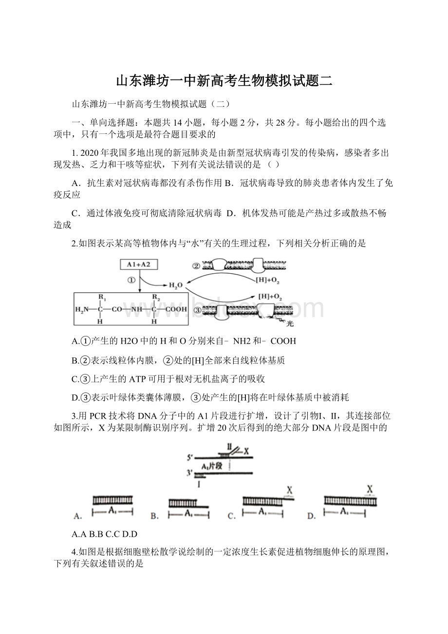 山东潍坊一中新高考生物模拟试题二.docx_第1页