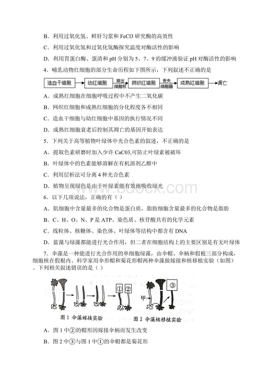 北京市海淀区高一生物必修一期末模拟试题及答案.docx_第2页